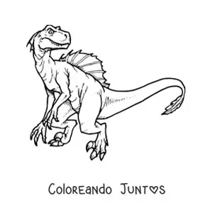 Velociraptor grande