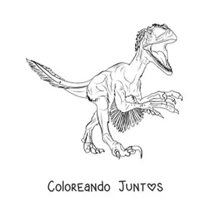 Imagen para colorear de deinonychus carnívoro