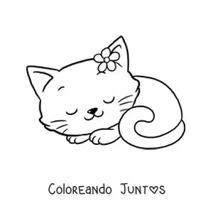Imagen para colorear de gatita kawaii grande con flor