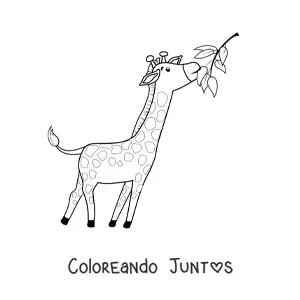 Imagen para colorear de jirafa comiendo hojas