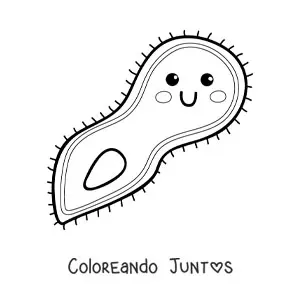 Imagen para colorear de protozoo kawaii