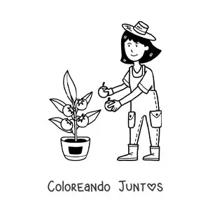Imagen para colorear de granjera kawaii cosechando tomates