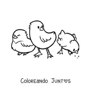 Imagen para colorear de 3 pollitos kawaii comiendo