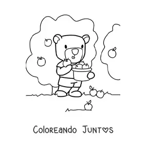 Imagen para colorear de oso kawaii animado cosechando manzanas de los árboles en una cesta