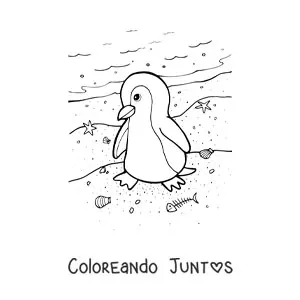 Imagen para colorear de pingüino en orilla de playa