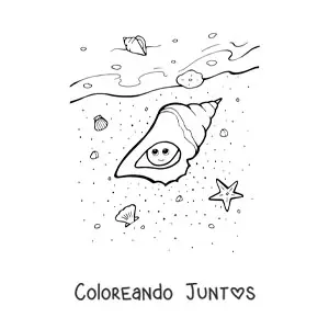 Imagen para colorear de caracola kawaii en la playa