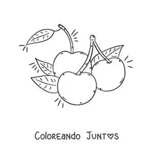 Imagen para colorear de tres cerezas con sus hojas
