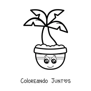 Imagen para colorear de palmera kawaii animada en una maceta