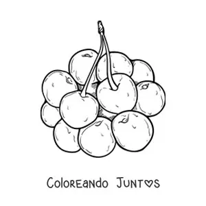 Imagen para colorear de un racimo de cerezas