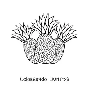 Imagen para colorear de tres piñas