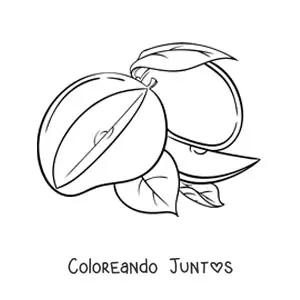 Mango rebanado