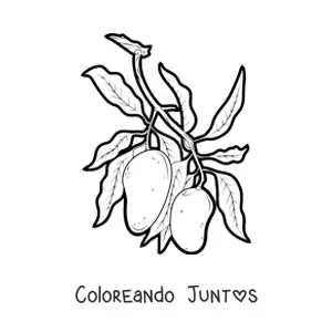 Imagen para colorear de una rama de un árbol de mango con dos mangos guindando