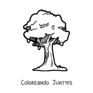 Imagen para colorear de un árbol de mango