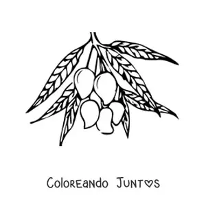 Imagen para colorear de una rama de un árbol de mango con varios mangos guindando