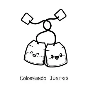 Pareja de bolsas de té kawaii