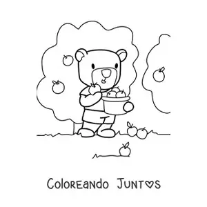 Imagen para colorear de oso animado recolectando manzanas en una granja