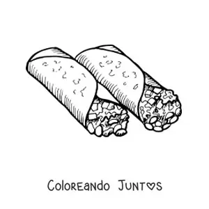 Imagen para colorear de burritos