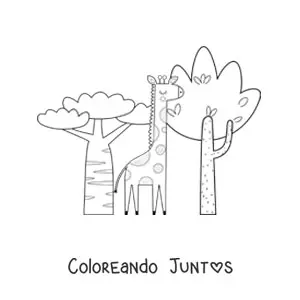 Jirafa africana en la sabana