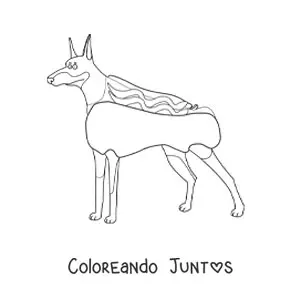 Doberman disfrazado de salchicha