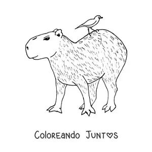 Imagen para colorear de carpincho animado