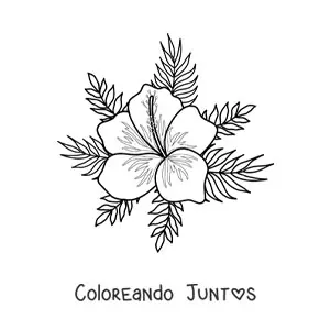 Imagen para colorear de flor hawaiana fácil con hojas