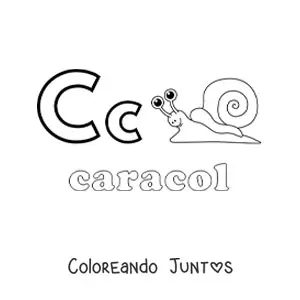 Imagen para colorear de c de caracol